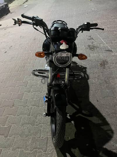 هوجن 3 ڤيجوري
