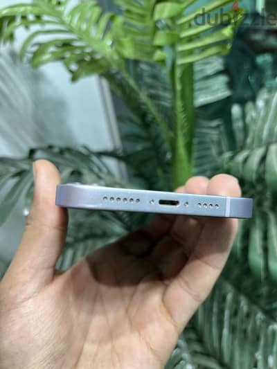 Apple - iPhone 14 plus