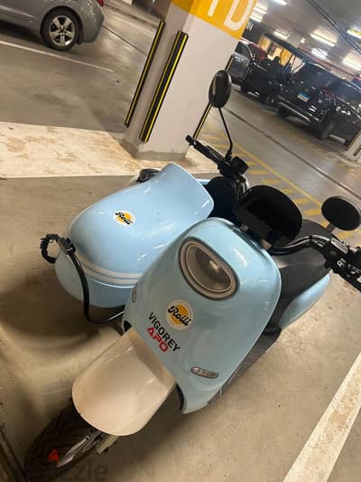 Vigorey side car