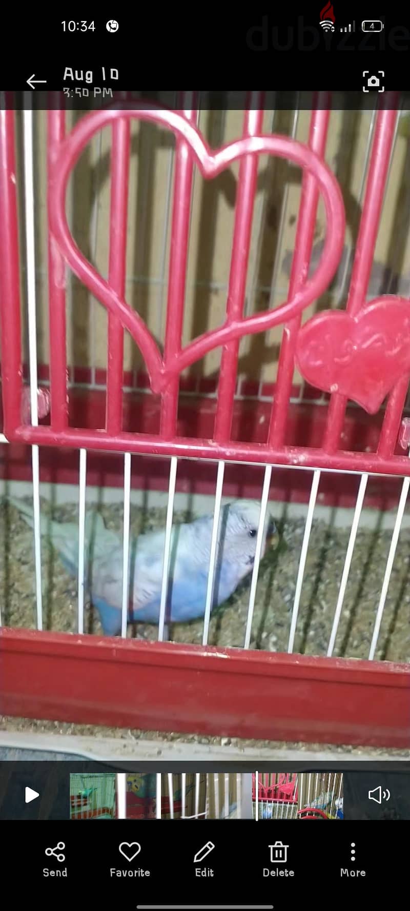 جوزين بادجي 2