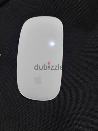 Mouse