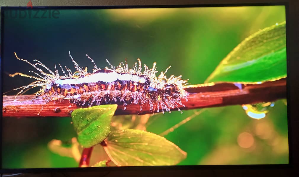 LG QNED 55 3