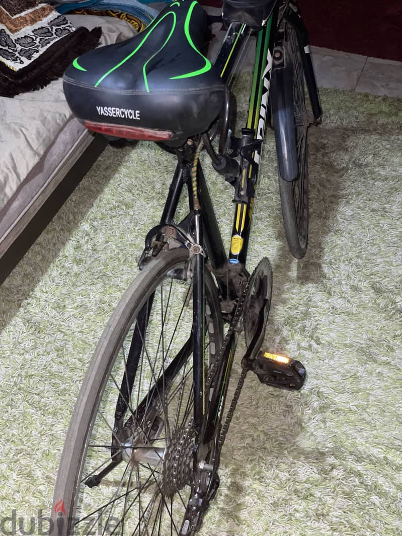 trinx r310 6