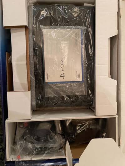 PlayStation 4 fat