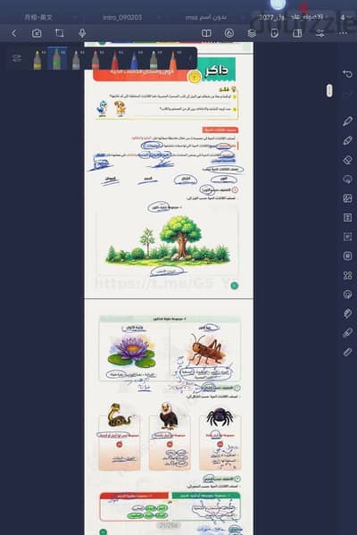طبيب مدرس للعلوم و الحساب للصف الرابع الابتدائي