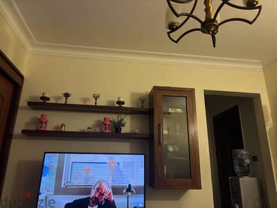 TV unit