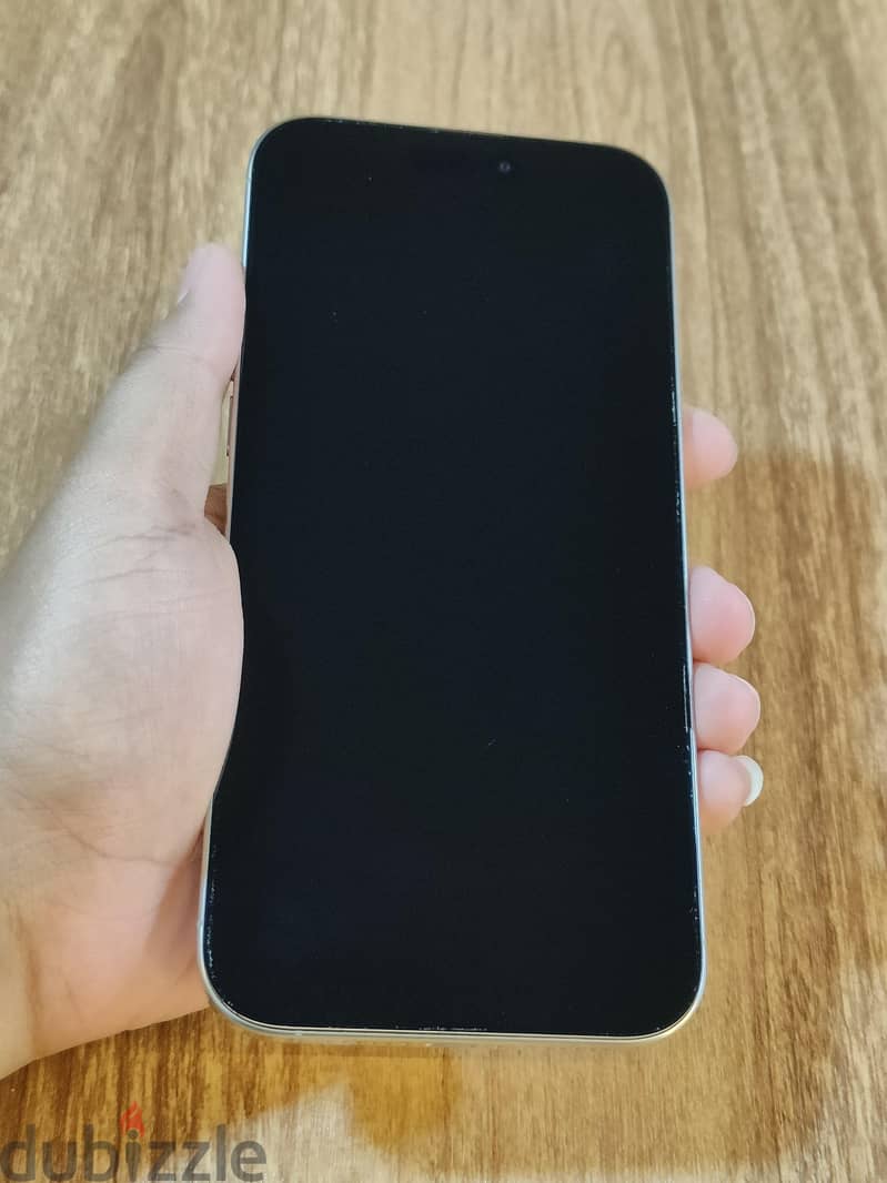 iPhone 16 Pro Max 1