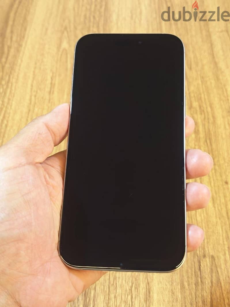 iPhone 16 Pro Max 1