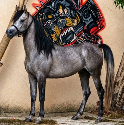 خيل عربي