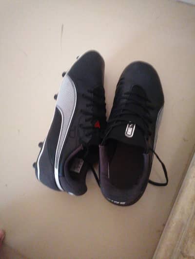puma kings