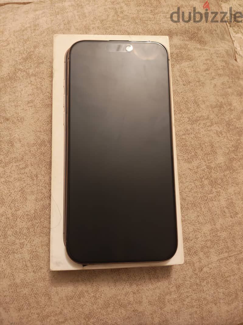 iPhone 16 Pro Max 1