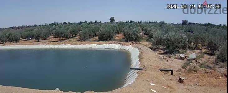 فرصة للاستثمار مزرعة نموذجية منتجة للبيع