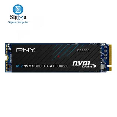 PNY CS2230 NVME M. 2 SSD GEN X4  HEALTH 100% ( 1 TERA )