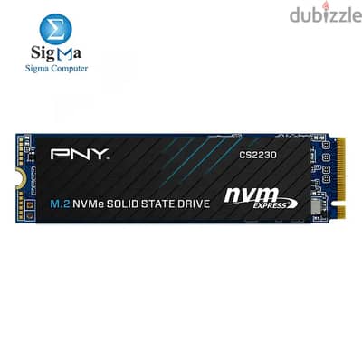 PNY CS2230 NVME M. 2 SSD GEN X4  HEALTH 100% ( 2 TERA )