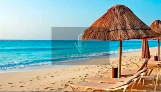  Rare Resale | South Med (TMG)| North Coast CH1 – Tree Head