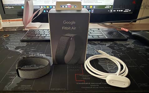 Google Fitbit Air