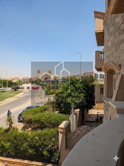 النرجس التجمع الخامس