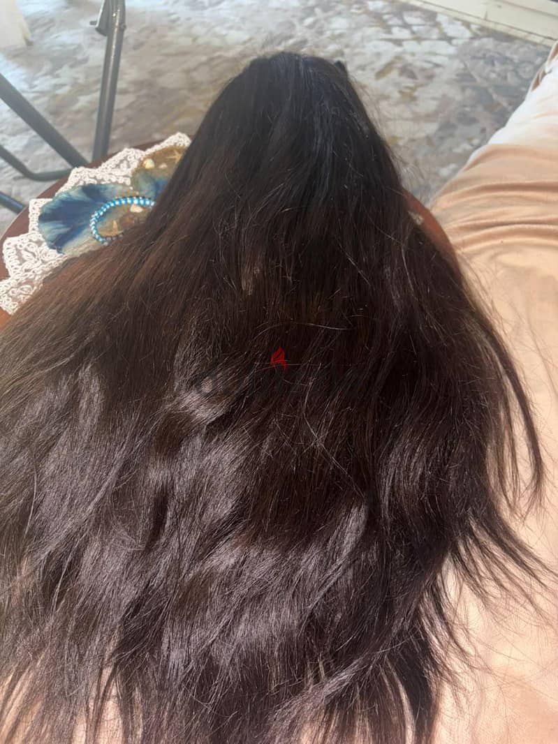 Mini Indian wig 1