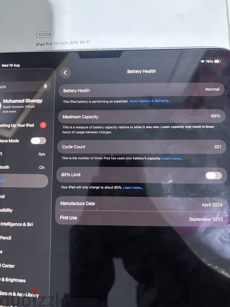 Ipad pro m4.512g 6