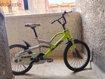 مقاس20