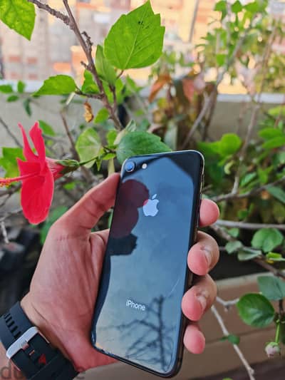 iPhone 8 (A11 Bionic) يعمل بكفاءة عالية