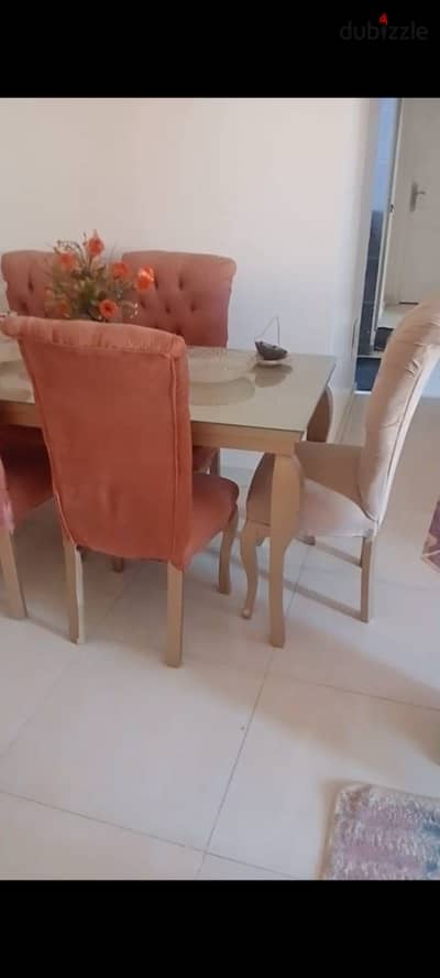 شقه مفروشه اول سكن