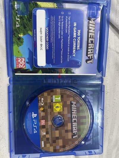 Minecraft ps4 compatable with VR