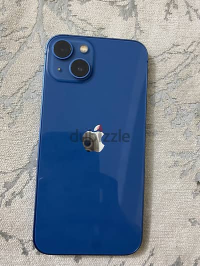 Apple 13
