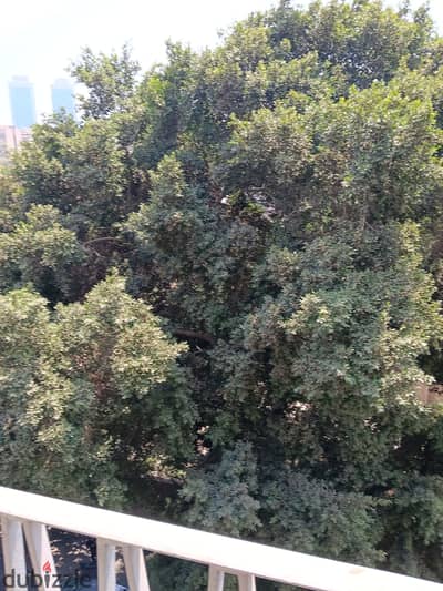 New law apartment 170m for rent in Zamalek