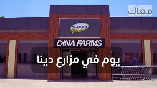 Your store is rented for a monthly return of 270,000 per year, 3,240,000 rented to the brand Mazaree Dinah in the heart of Zahra Maadi! Your store is rented for a monthly return of 270,000 per year, 3,240,000 rented to the brand Mazaree Dinah in the heart of Zahra Maadi!