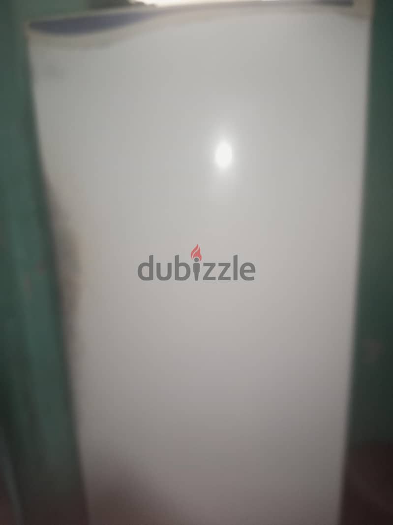 فريش ذانوسى 3