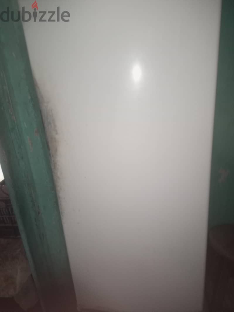 فريش ذانوسى 4