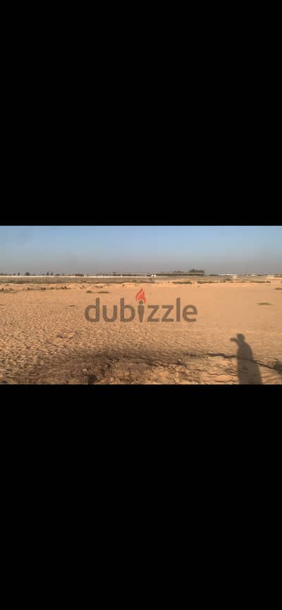 مزرعه عشره فدان  طريق مصري الاسماعليه الصحرواي