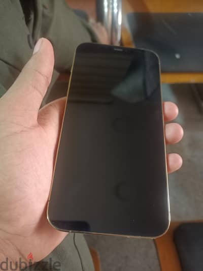 Apple - iPhone 12 Pro Max