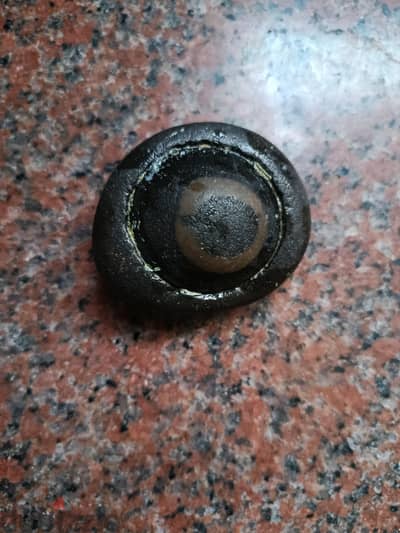 حجر نادر جدا شكل عين من الشاطئ