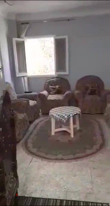 شقة مفروشة للإيجار في الحي الأول | موقع مميز بجوار كلية الهندسة ومستشفى 500500 والجامعة