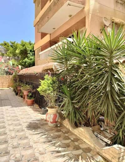شقه للايجار المصيفي في المعمورة الشاطئ بالاسكندريه