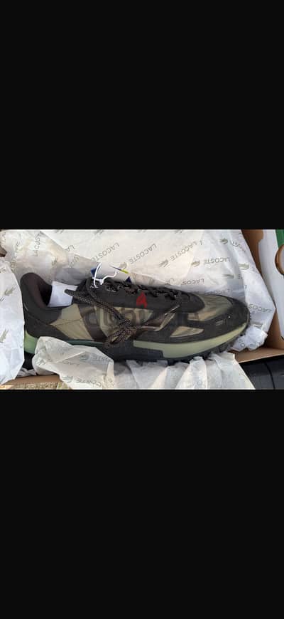 Lacoste Shoe
