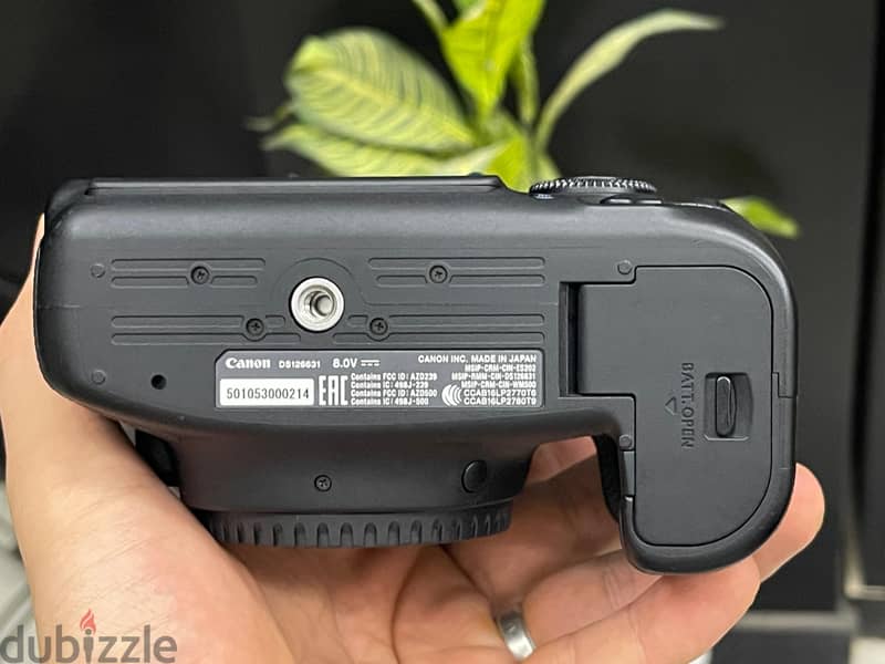 Canon 6dii 2