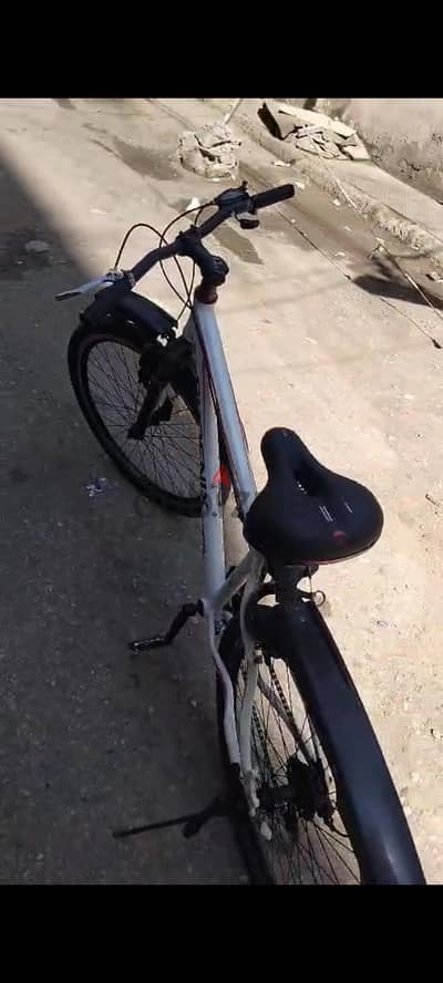 عجله فونكس