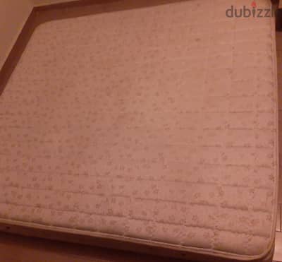 يانسن/ مميزة / للبيع