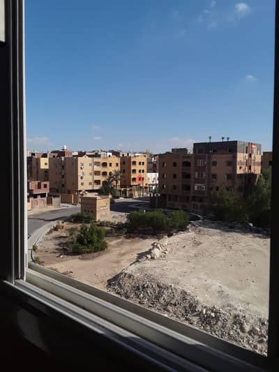 شقه للإيجار