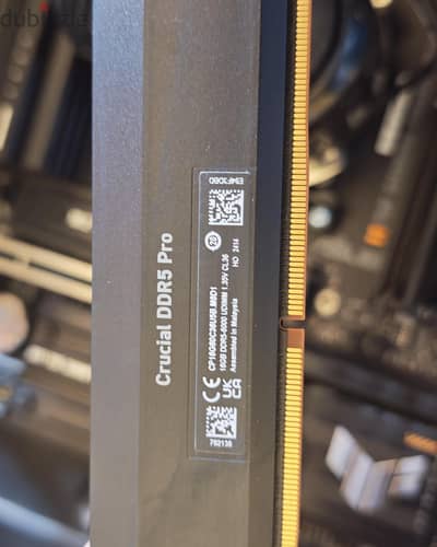 curciel pro  ddr5 32gb  16gb*2