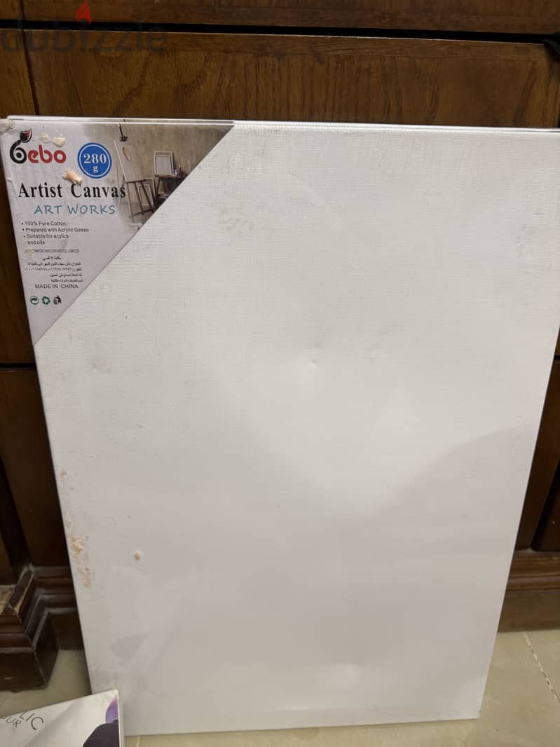 Canvas and acrylic colors 3