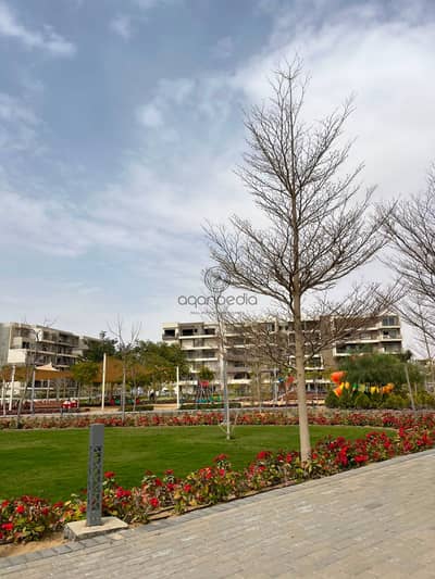 Apartment for Sale in Palm Hills New Cairo