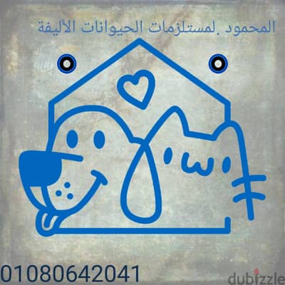 المطرية الدقهلية