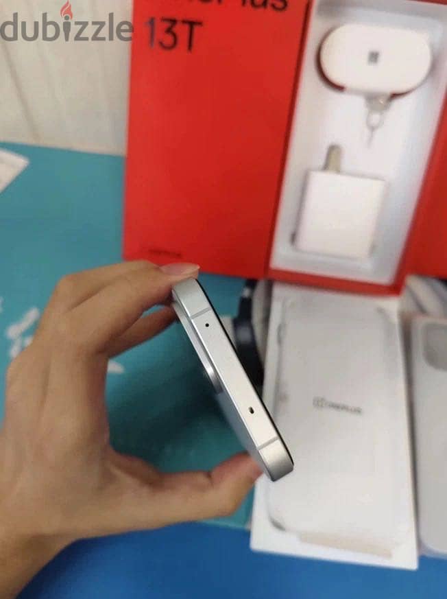 One Plus Other Model 2