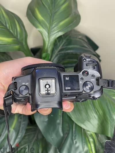 Canon R