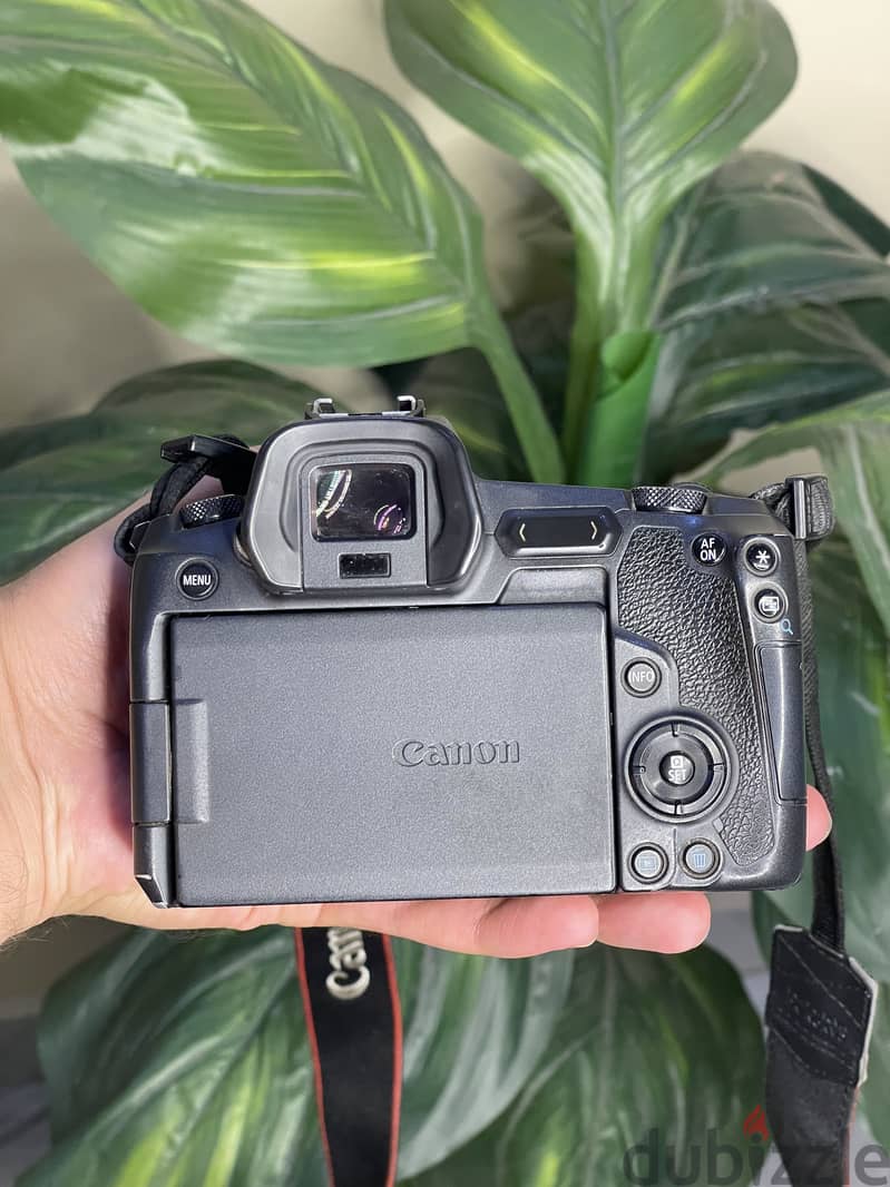 Canon R 2