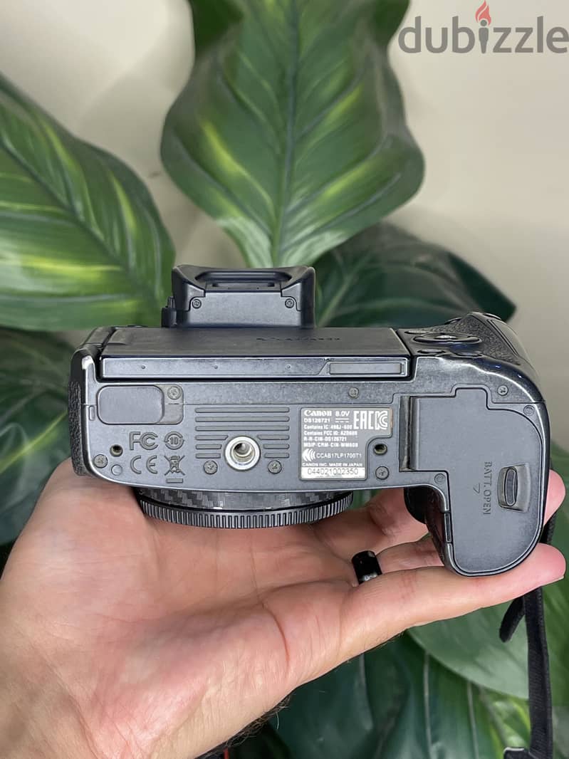 Canon R 4